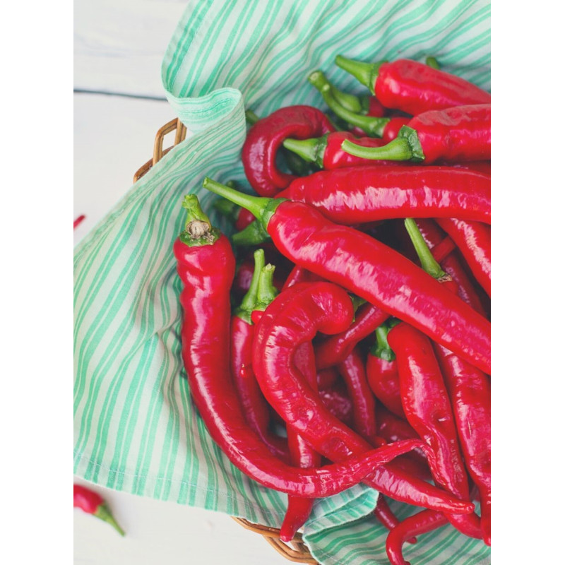 Pepper Cayenne Plant - Same Day Delivery