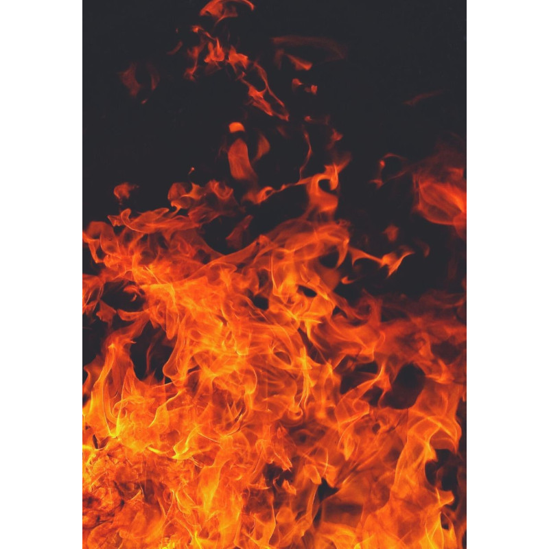 Apocalypse Scorpion Pepper Plant - Same Day Delivery