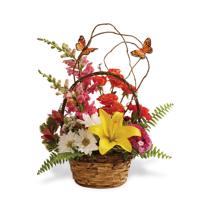 Beauty and Butterflies Bouquet - Same Day Delivery