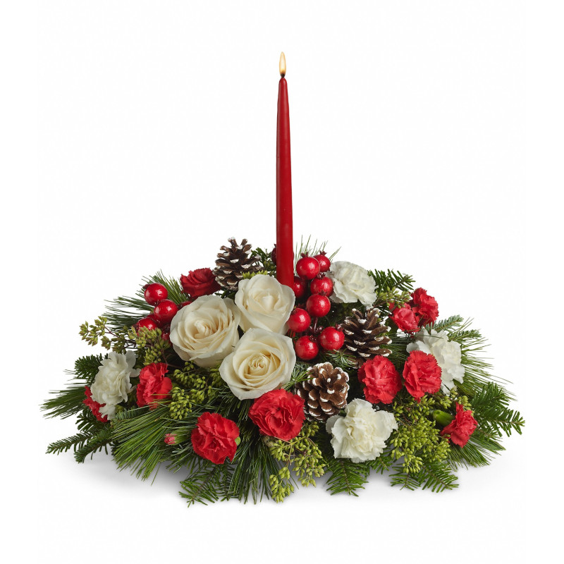 Christmas Rose Centerpiece - Same Day Delivery