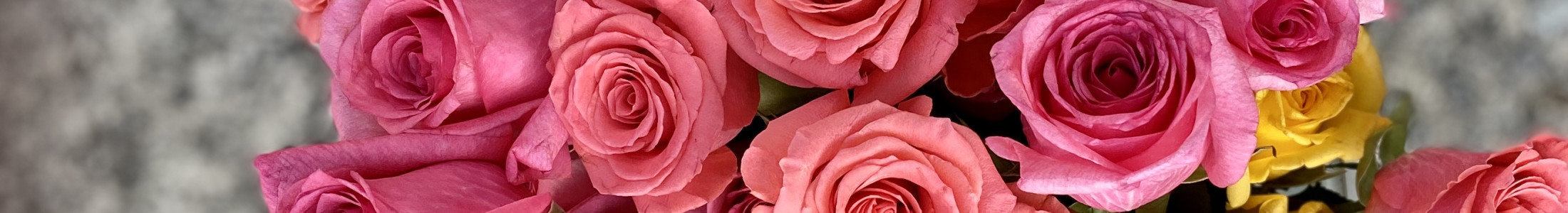 Birthday Flowers, Birthday Gifts