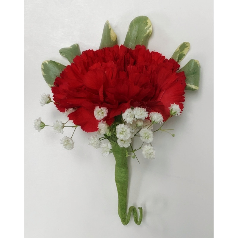 Carnation Boutonniere  - Same Day Delivery
