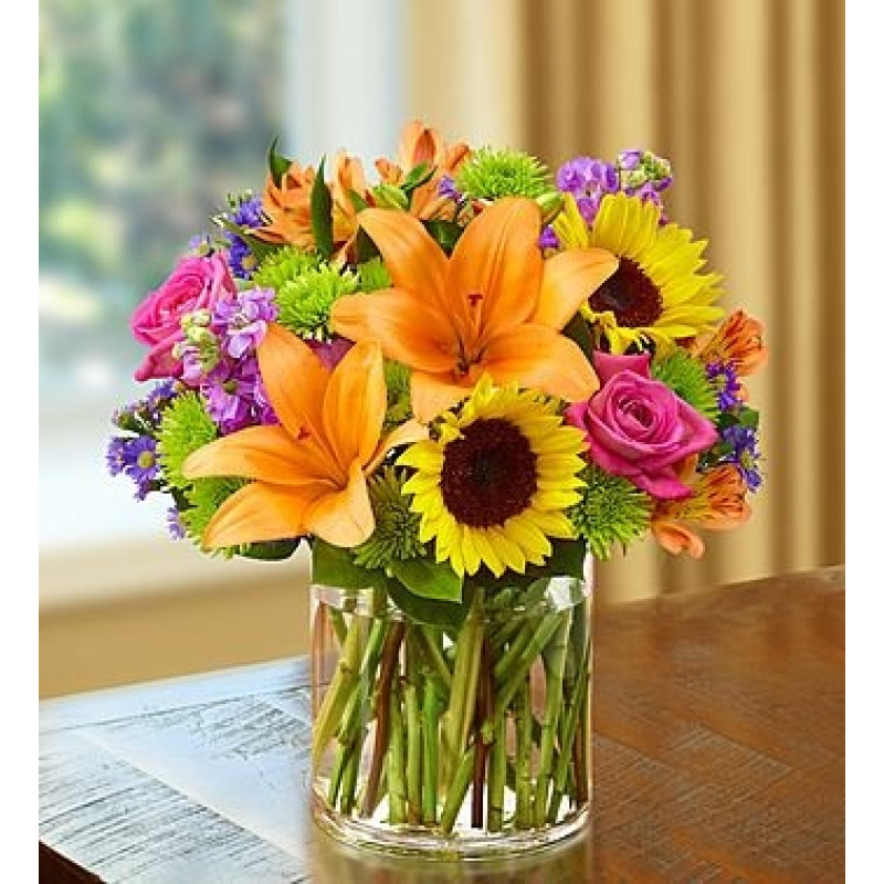 Epic Day In Atlanta - Same Day Delivery